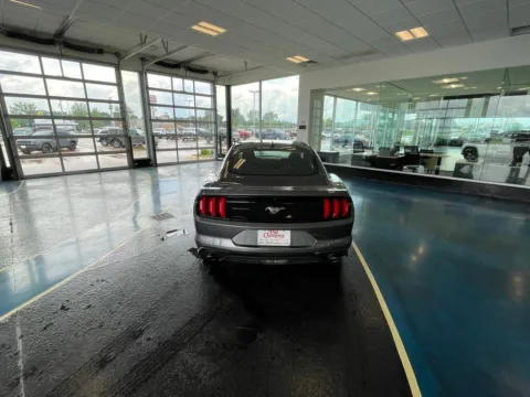 More photos of 2022 Ford Mustang EcoBoost at Pat Clemons Inc., IA