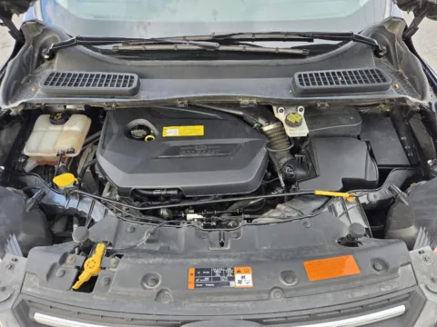 More photos of 2016 Ford Escape SE at Capital City Motor Company, IA