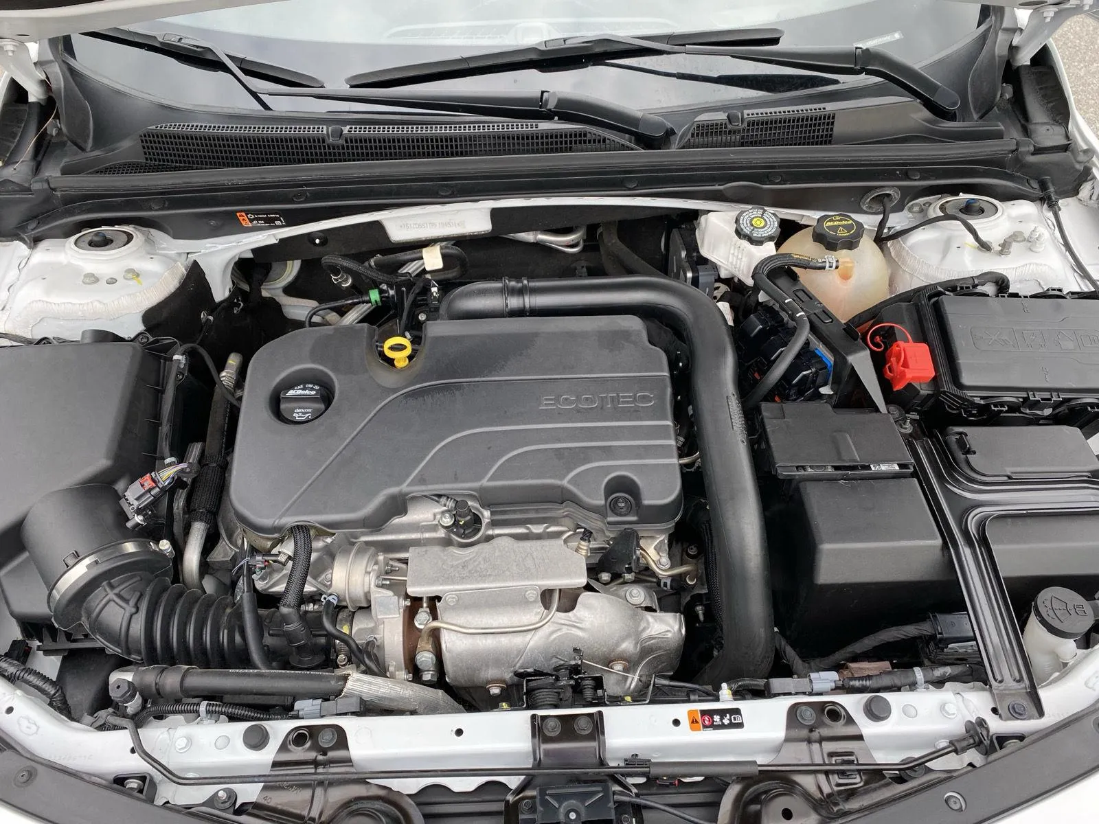 Chevrolet Malibu photo 4