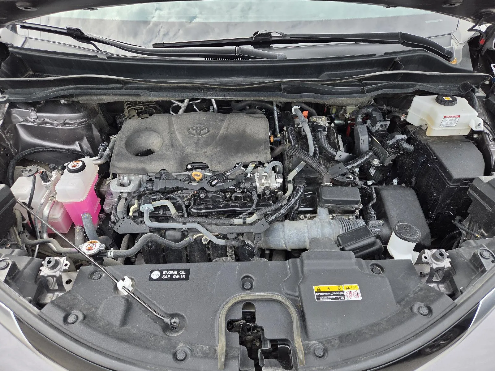 Toyota Sienna photo 4