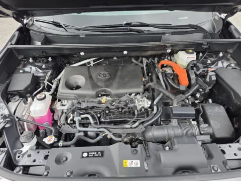 More photos of 2025 Toyota RAV4 Hybrid XLE at Capital City Motor Company, IA
