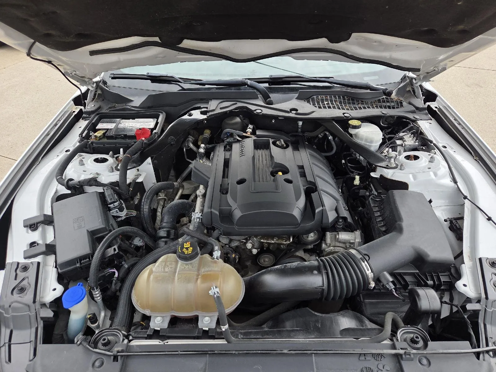 2020 Ford Mustang EcoBoost Premium photo 4