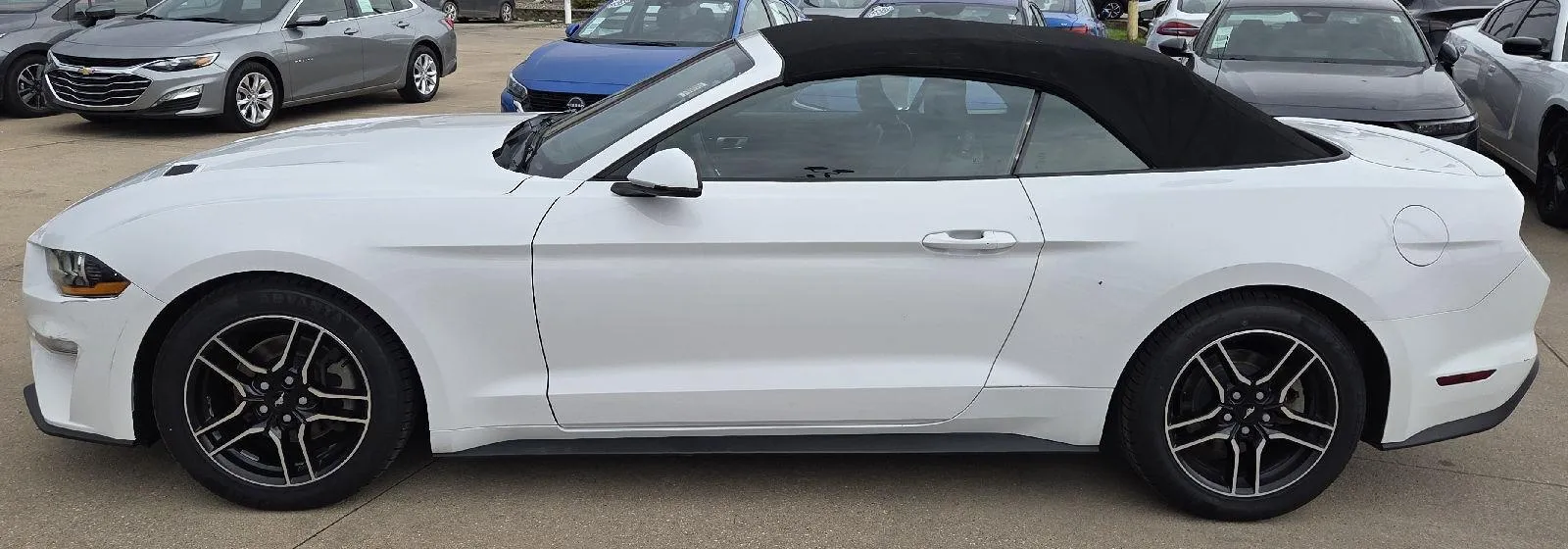 2020 Ford Mustang EcoBoost Premium photo 5