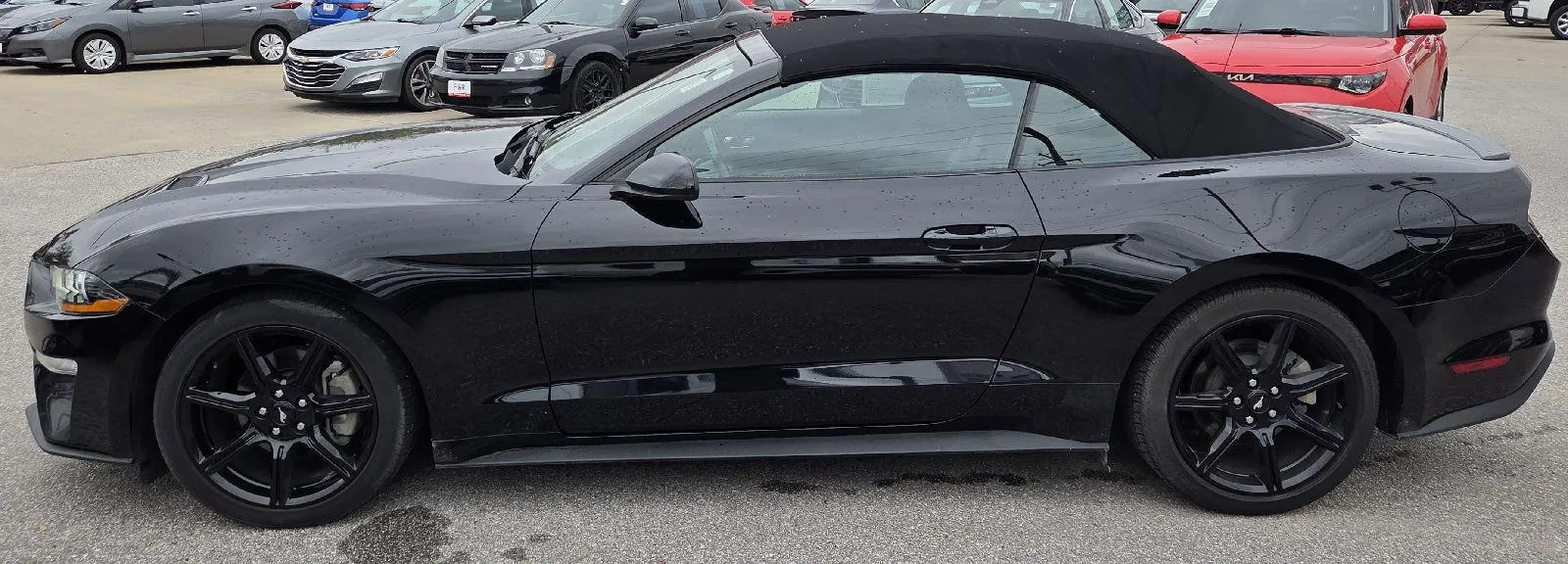 2018 Ford Mustang EcoBoost photo 4