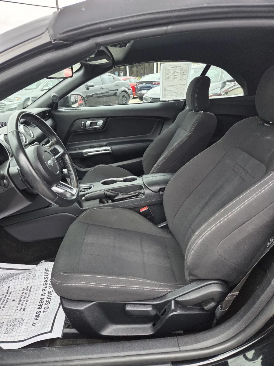 2018 Ford Mustang EcoBoost photo 13