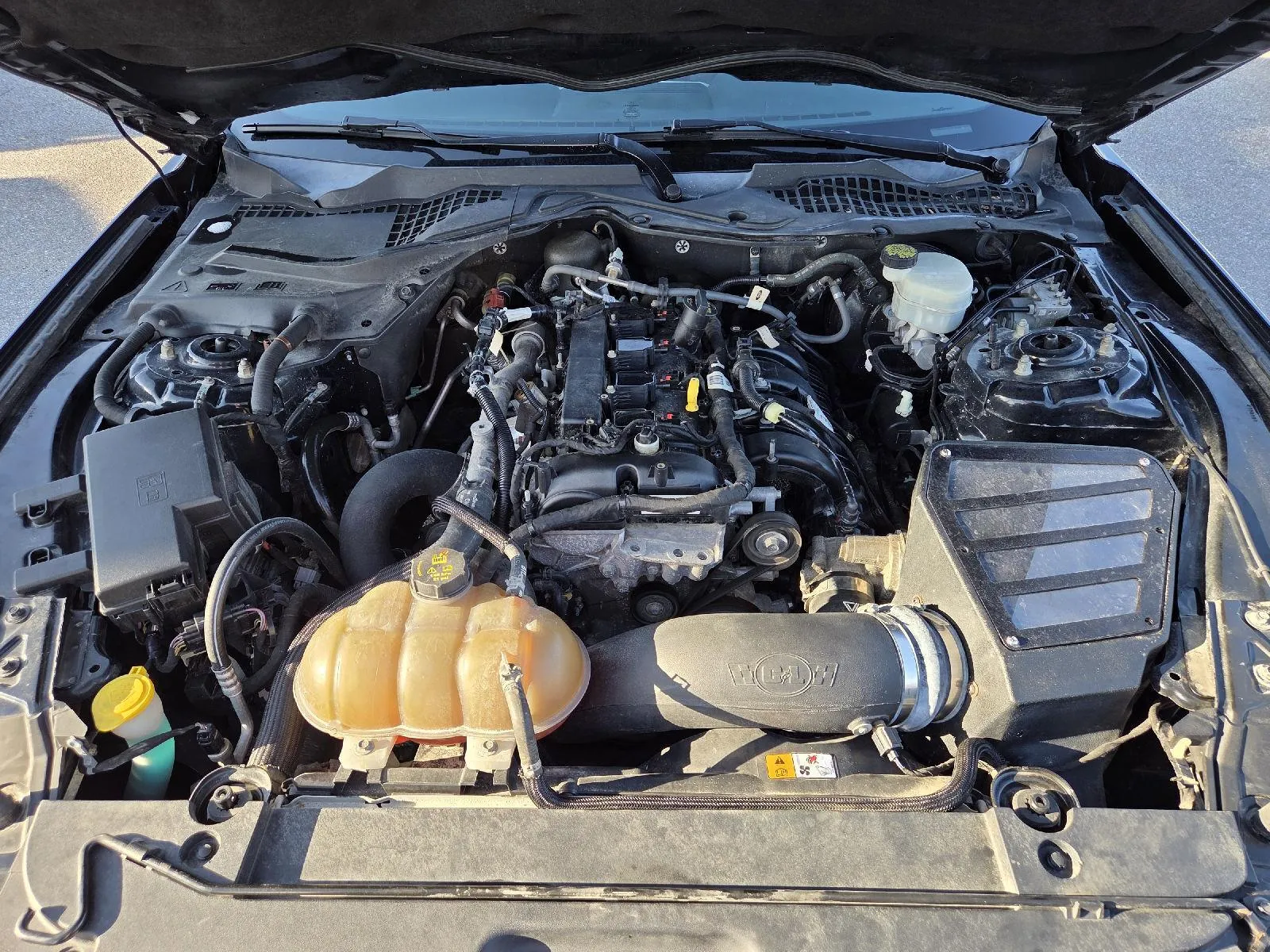 2015 Ford Mustang EcoBoost Premium photo 4