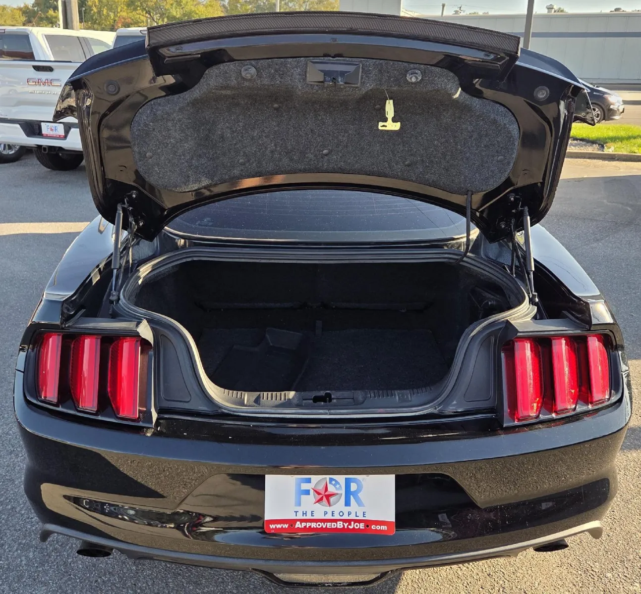 2015 Ford Mustang EcoBoost Premium photo 10