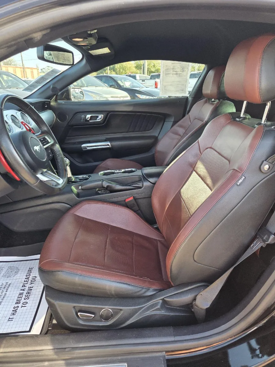 2015 Ford Mustang EcoBoost Premium photo 14