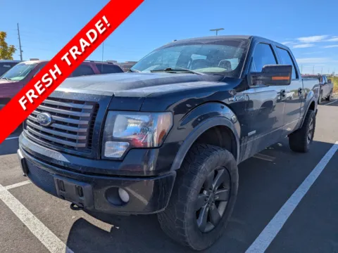 Black 2011 Ford F-150 FX4 for sale in Twin Falls, ID
