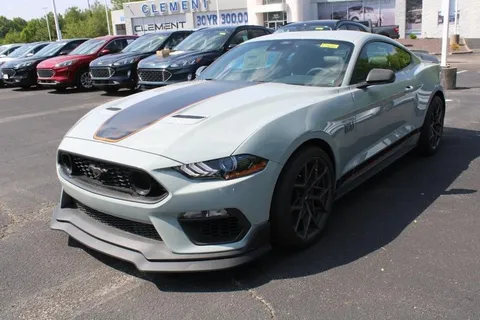 Ford Mustang Mach 1 パネル Ford Mustang Mach 1 パネル