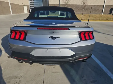 More photos of 2024 Ford Mustang EcoBoost Premium at Clement Ford, MO