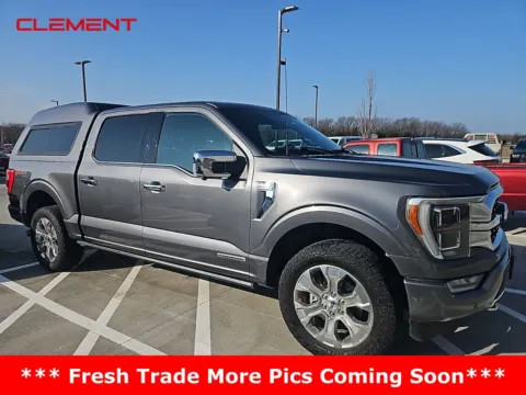 Gray 2023 Ford F-150 Platinum for sale in Wentzville, MO