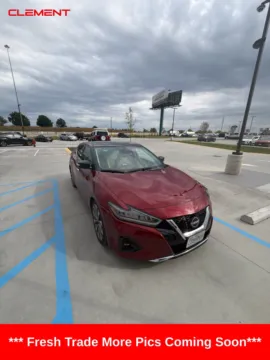 Photos of 2023 Nissan Maxima Platinum for sale in Wentzville, MO at Clement Ford