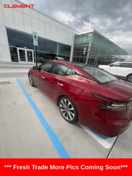 More photos of 2023 Nissan Maxima Platinum at Clement Ford, MO