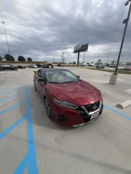 Photos of 2023 Nissan Maxima Platinum for sale in Wentzville, MO at Clement Ford