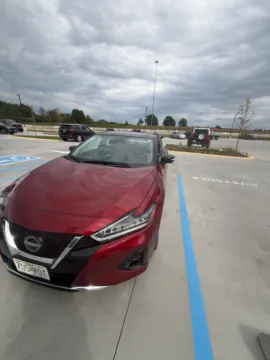 Red 2023 Nissan Maxima Platinum for sale in Wentzville, MO