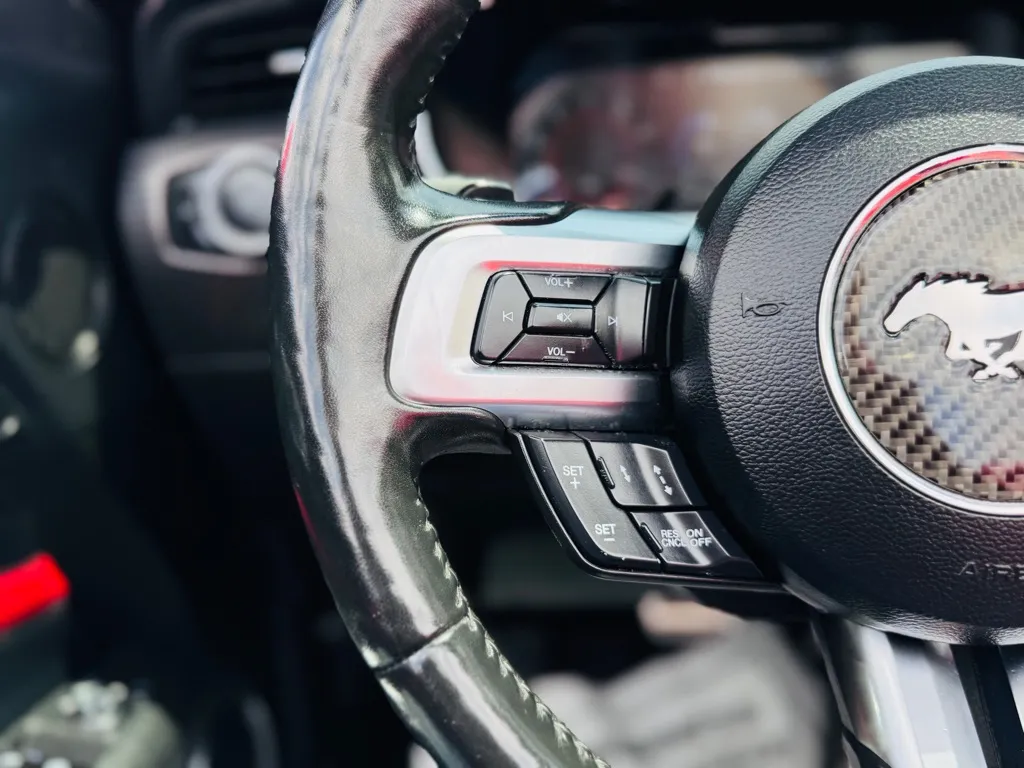 2020 Ford Mustang GT Convertible photo 13