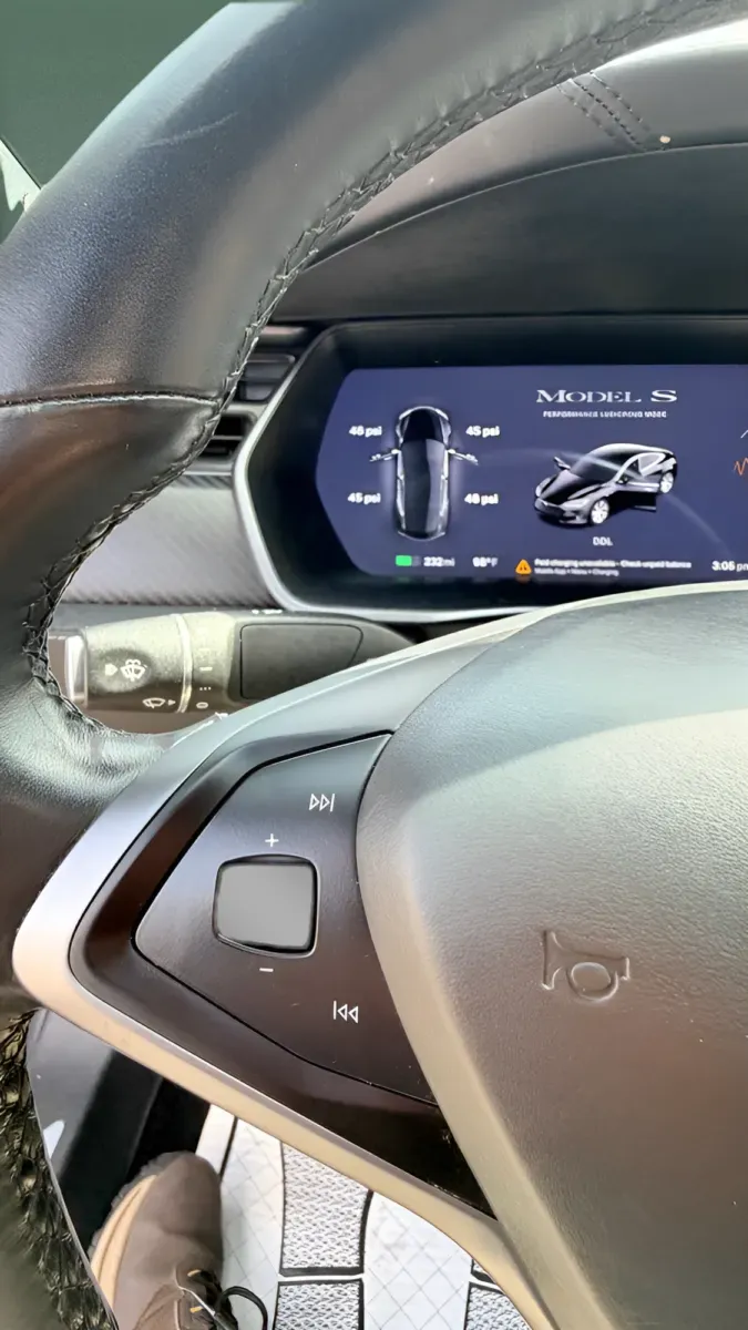 2021 Tesla Model S Performance - Photo 15