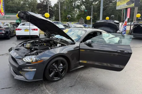 Photos of 2023 FORD MUSTANG ECOBOOST for sale in Schererville, IN at NWI Auto Finance Schererville