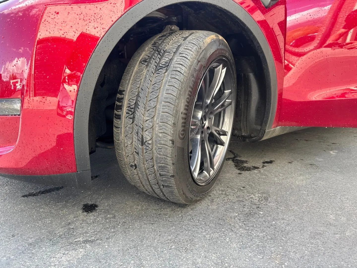 Tesla Model Y photo 29