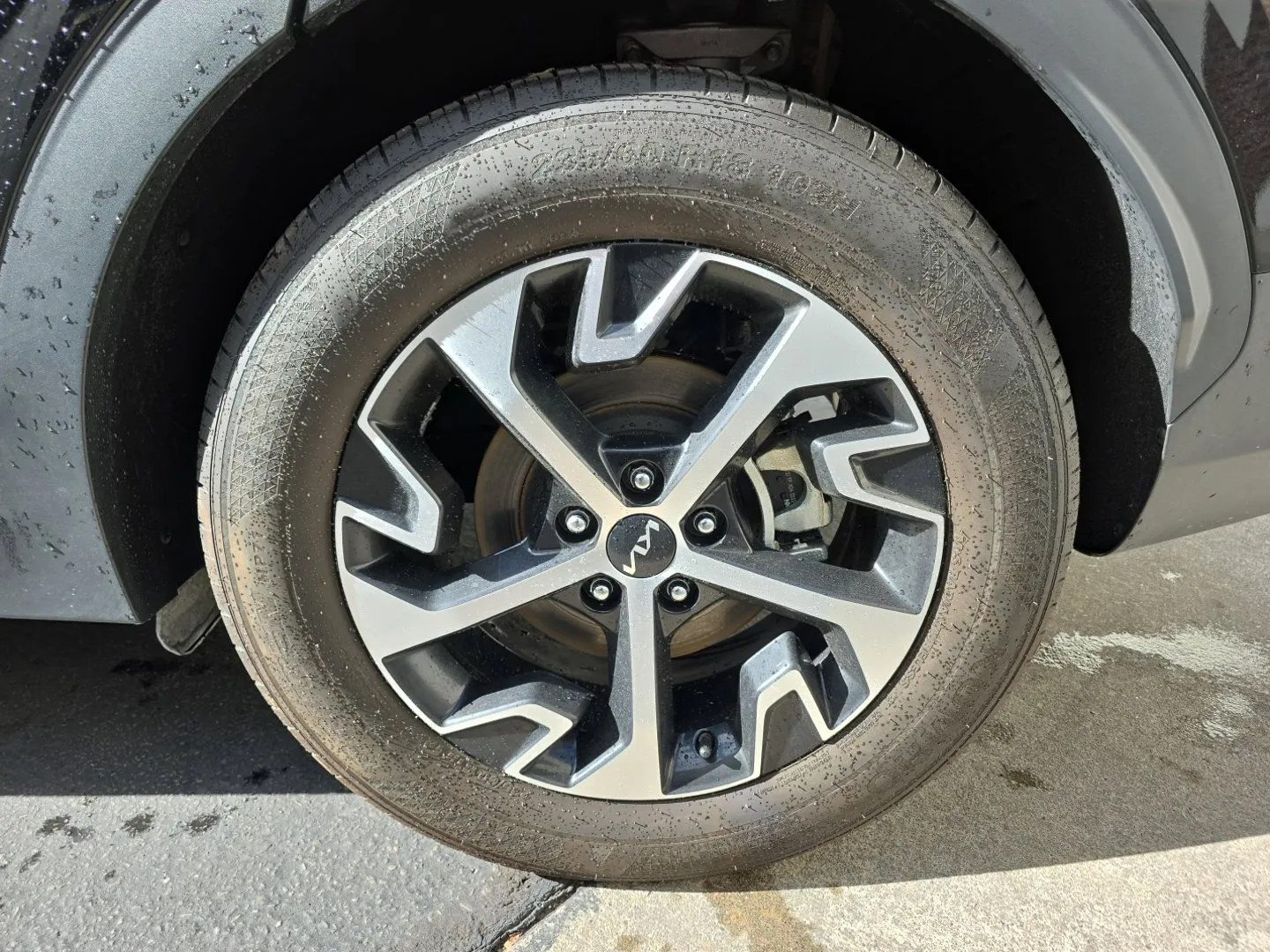 2024 Kia Sportage EX - Photo 23