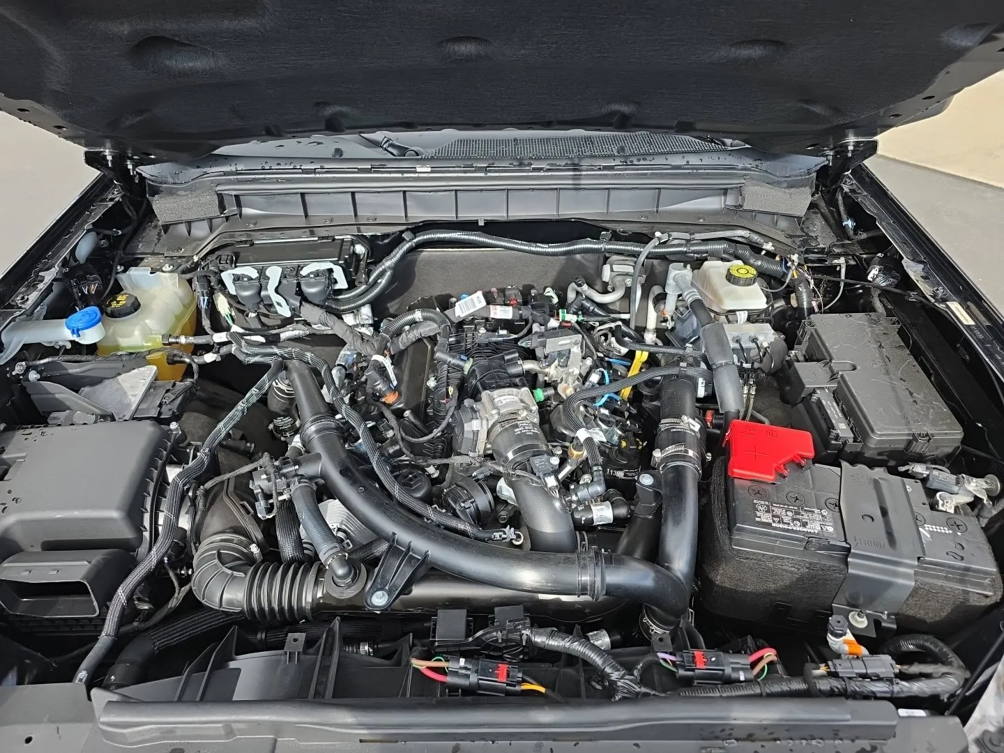 Ford Bronco photo 20