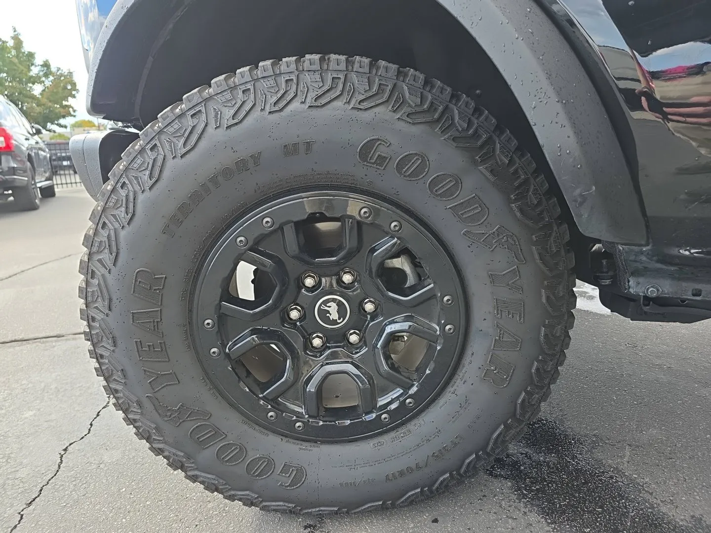 Ford Bronco photo 17