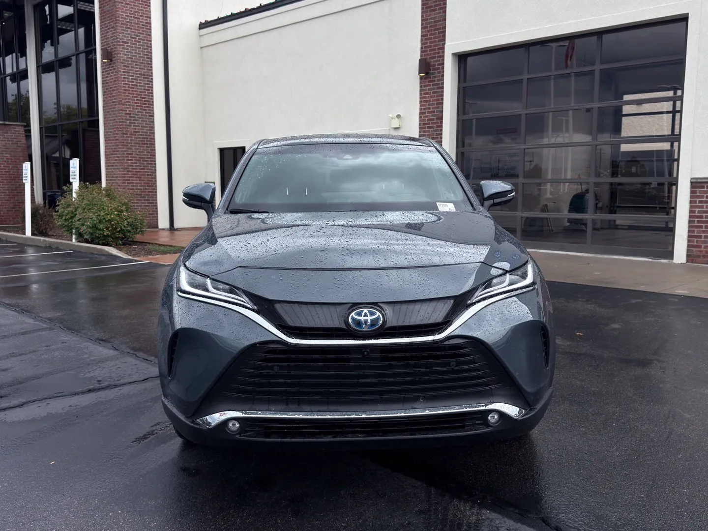 Toyota Venza photo 3
