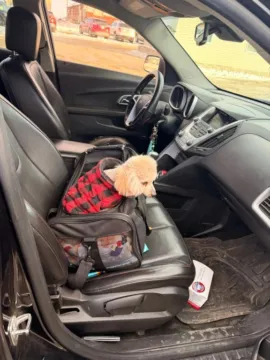 More photos of 2013 Chevrolet Equinox LT Sport Utility 4D at Lunde Auto Sales, MN