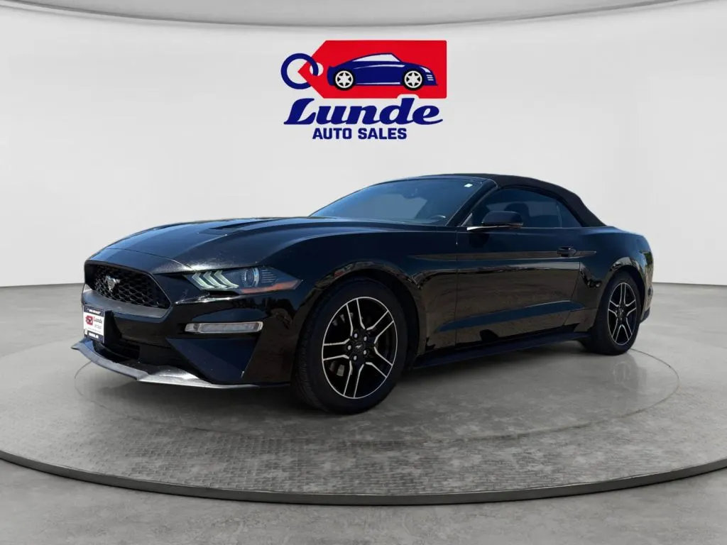 Black 2019 Ford Mustang EcoBoost Premium Convertible 2D for sale in Wadena, MN