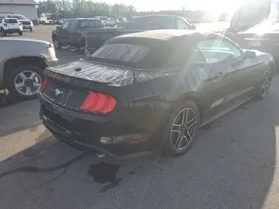 Another view of 2019 Ford Mustang EcoBoost Premium Convertible 2D for sale in Wadena, MN at Lunde Auto Sales