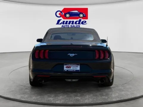 More photos of 2019 Ford Mustang EcoBoost Premium Convertible 2D at Lunde Auto Sales Center, MN