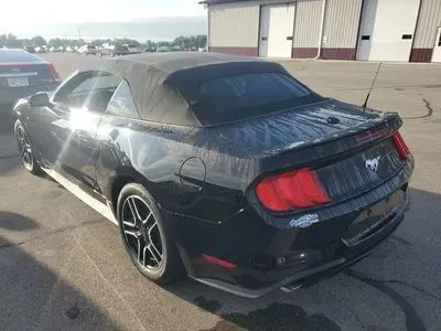 More photos of 2019 Ford Mustang EcoBoost Premium Convertible 2D at Lunde Auto Sales, MN