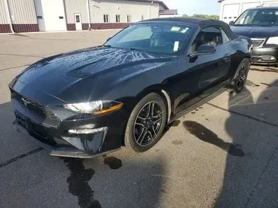 Black 2019 Ford Mustang EcoBoost Premium Convertible 2D for sale in Wadena, MN
