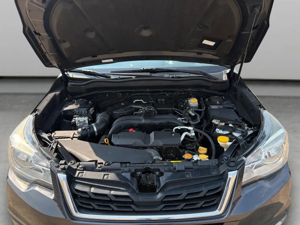 Subaru Forester photo 20