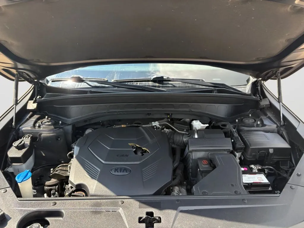 Kia Telluride photo 20