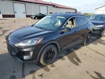 Black 2021 Ford Escape SE Sport Utility 4D for sale in Wadena, MN