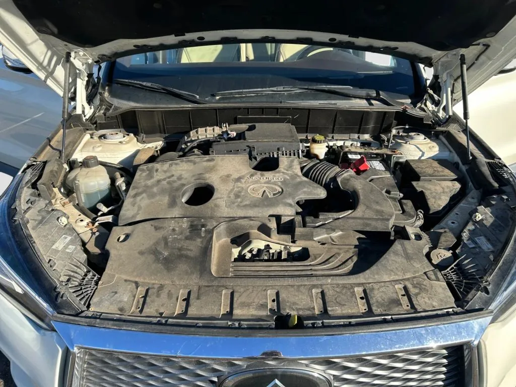 Infiniti QX50 photo 20