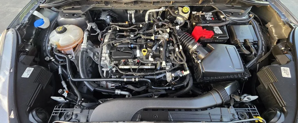 2022 Ford Escape SEL's photo