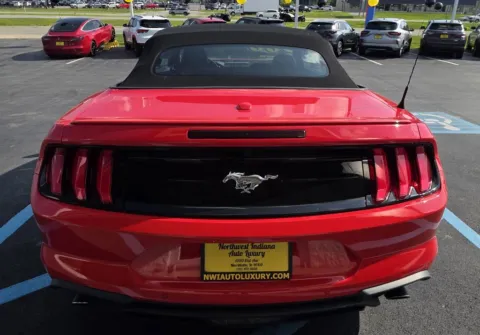 More photos of 2023 FORD MUSTANG ECOBOOST at NWI Auto Luxury Merrillville, IN