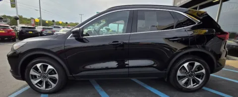 More photos of 2023 FORD ESCAPE PLATINUM at NWI Auto Luxury Merrillville, IN