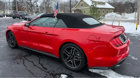 More photos of 2021 FORD MUSTANG at NWI Auto Finance Schererville, IN