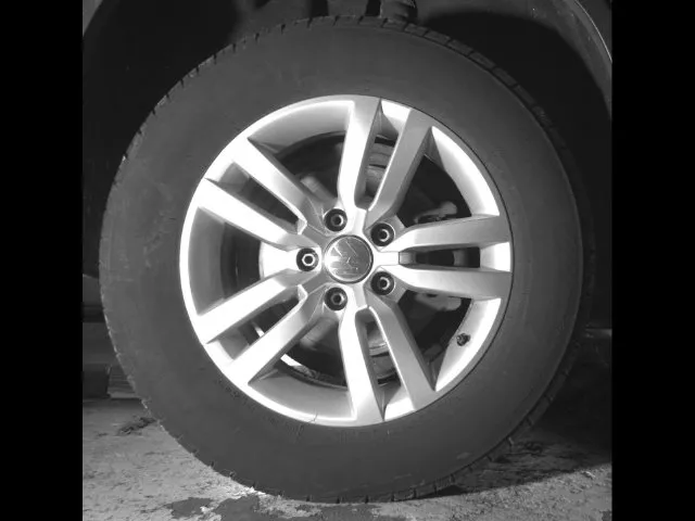 2014 Volkswagen Tiguan S photo 11