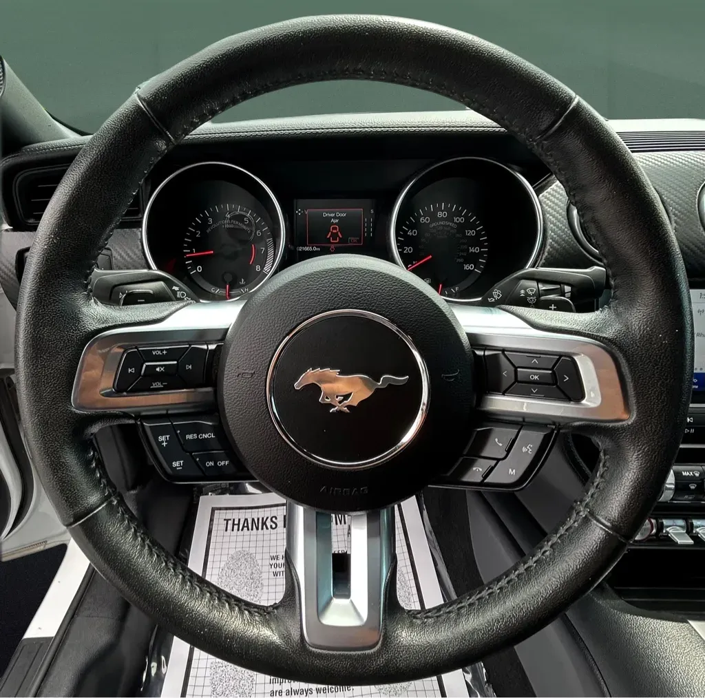 2021 Ford Mustang EcoBoost - Photo 13
