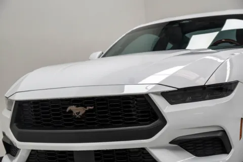 Photos of 2026 Ford Mustang EcoBoost for sale in Marietta, GA at Grand Motorcars Marietta