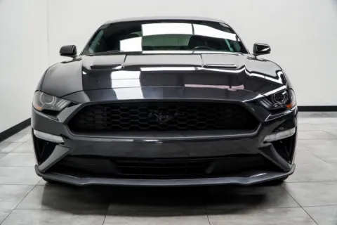 More photos of 2023 Ford Mustang EcoBoost Premium at Grand Motorcars Marietta, GA