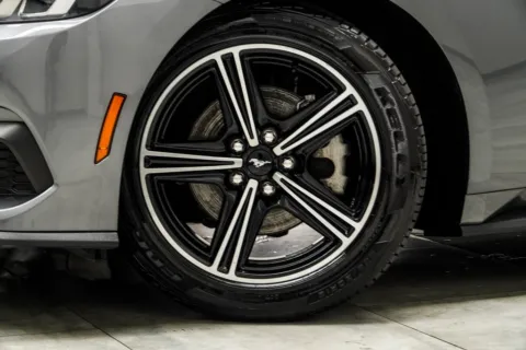 More photos of 2024 Ford Mustang EcoBoost Premium at Grand Motorcars Kennesaw, GA