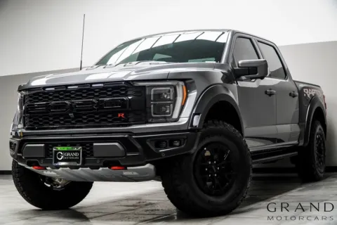 Gray 2023 Ford F-150 Raptor for sale in Kennesaw, GA
