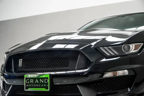 Photos of 2017 Ford Mustang Shelby GT350 for sale in Kennesaw, GA at Grand Motorcars Kennesaw