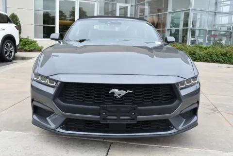 More photos of 2024 Ford Mustang EcoBoost Premium at Grand Infiniti of Macon, GA